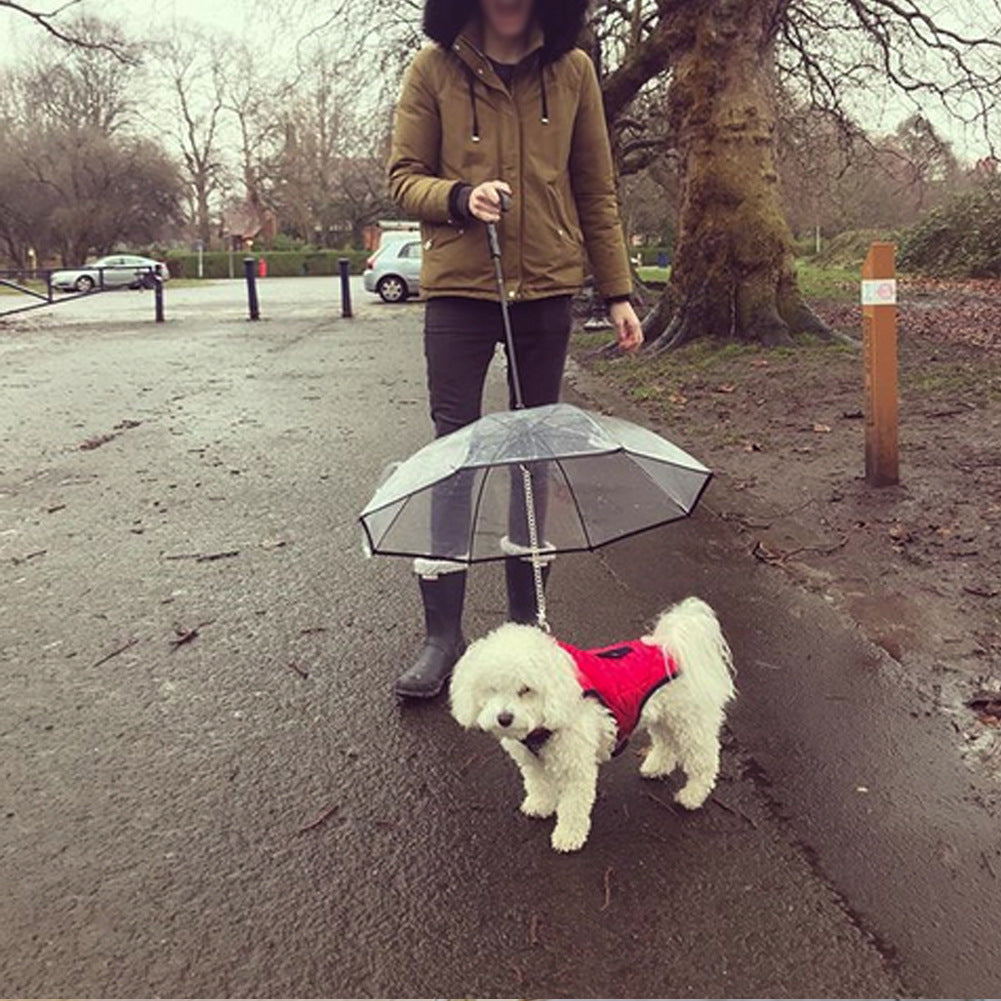 Dog Transparent Umbrella with Leash – Waterproof Pet Umbrella with Removable Traction Chain